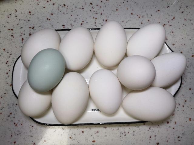 我们很少吃到鹅蛋，有什么鹅蛋美食推荐？鹅蛋有什么吃法？
