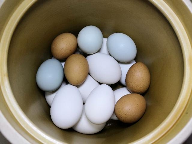 我们很少吃到鹅蛋，有什么鹅蛋美食推荐？鹅蛋有什么吃法？
