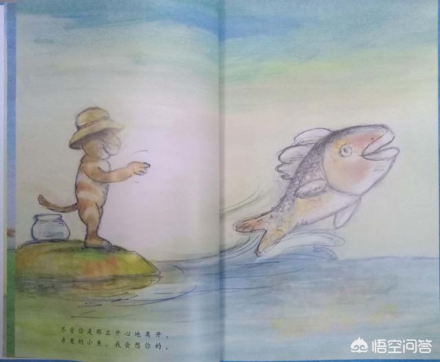 有哪些关于鱼的绘本？