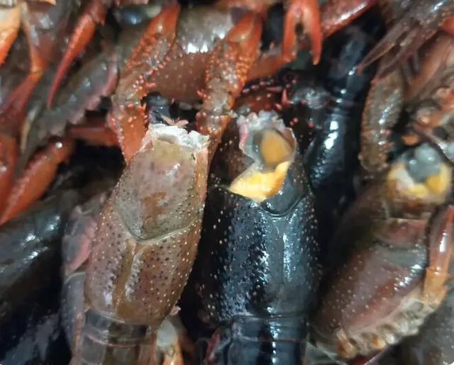 小龙虾怎么做好吃？