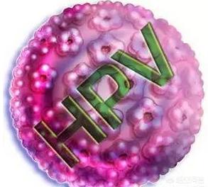 对于HPV你知道如何调理吗？