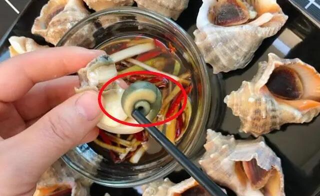 蚂蚁庄园8月9日：为了健康考虑海螺的什么部位最好不要吃