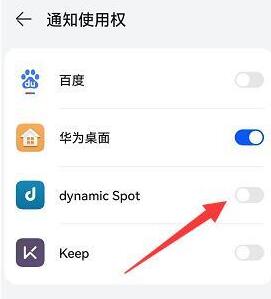 dynamic Spot怎么设置
